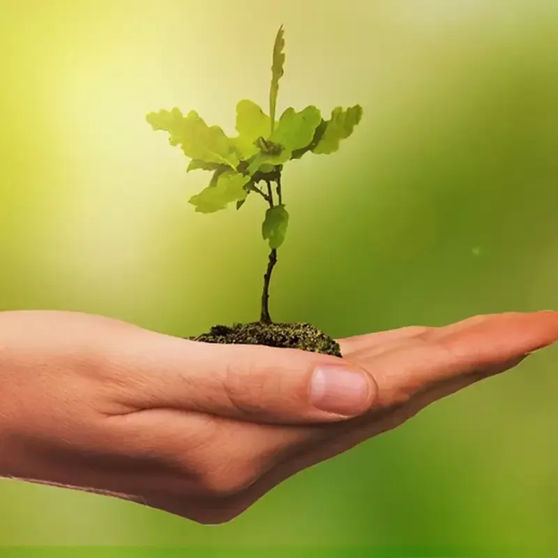 Estudio de evaluación de impacto ambiental